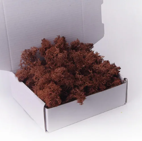 Miniatura 31 de Musgo preservado, musgo de 3.5 onzas para manualidades, decoración de musgo sintético, musgo verde natural para decoración de pared de floristería