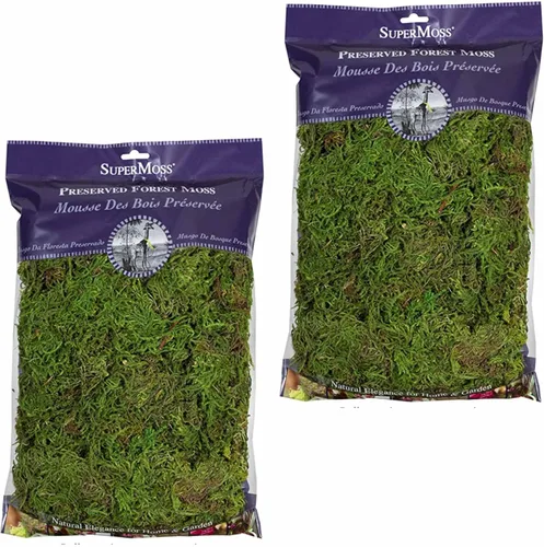 SuperMoss Musgo forestal (2 unidades, 8 onzas) - Musgo de jardín moderno