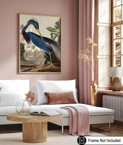 Miniatura 6 de Poster Master Póster vintage de James Audubon – Impresión de garza de Luisiana – Arte de aves de América – Arte de aves – Regalo para hombres