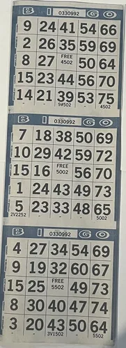 The Ticket Gurus -3 en tarjetas de juego de papel de bingo - 500 hojas - 4 pulgadas por 12 pulgadas de tamaño (azul)