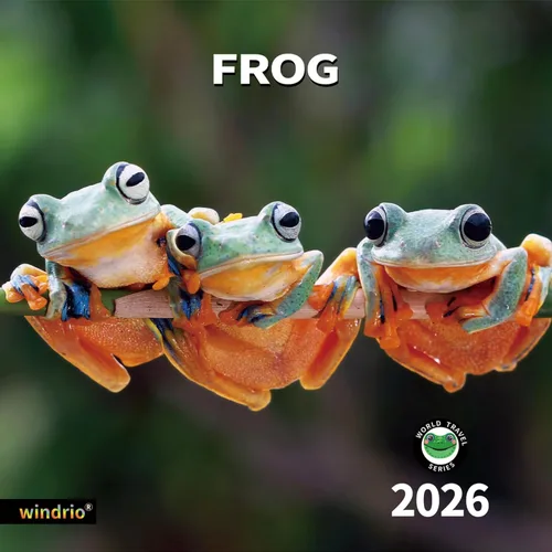 Miniatura 9 de Calendario de pared 2026, Calendario divertido 2026, noviembre de 2025 - diciembre de 2026, calendario de pared con memes divertidos de animales, 12