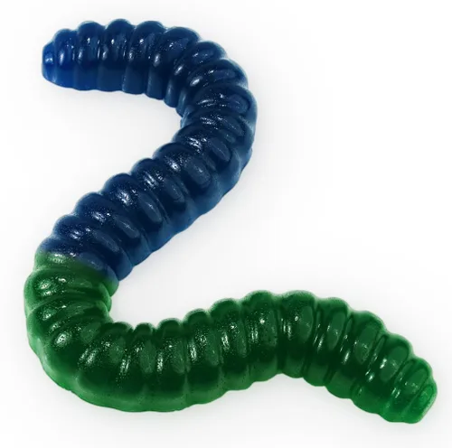Miniatura 5 de Gusano de gomita gigante – Caramelo de gomita grande de 2 libras con gran sabor afrutado de GGB Candies (azul frambuesa/naranja)