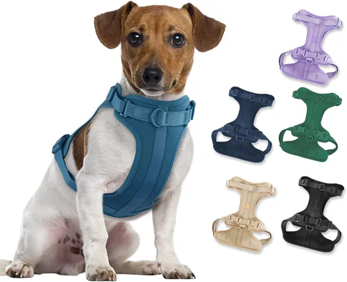 Miniatura 33 de Arnés ligero para perro sin tirones: arnés ajustable y duradero de malla transpirable con cojín suave y cómodo, para perros pequeños, medianos y Lila