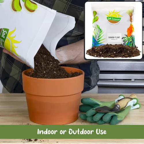 Miniatura 4 de Soil Sunrise Mezcla de tierra para macetas de plátano (12 cuartos de galón) – Mezcla mezclada a mano para interiores y exteriores para plantas