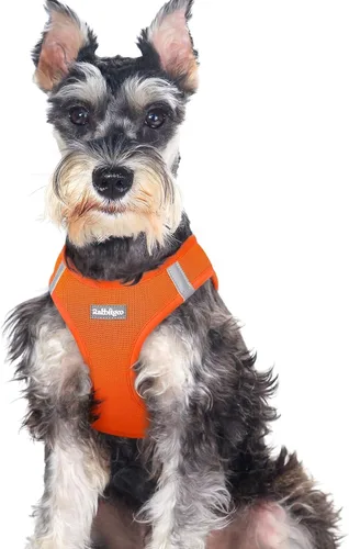 Miniatura 117 de rabbitgoo Arnés para perro pequeño, chaleco de malla suave para cachorros con hebilla de seguridad, arnés reflectante transpirable para mascotas