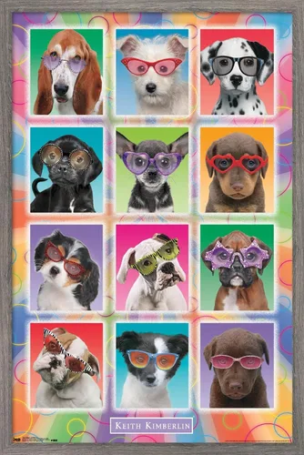 Trends International Keith Kimberlin - Póster de pared con diseño de cachorros, gafas de sol, 14.725 x 22.375 pulgadas, versión enmarcada de madera