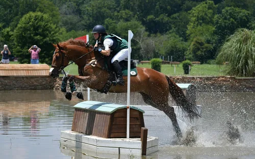 Miniatura 5 de Hyalogic Hyalun Gel - Suplemento para articulaciones equinas antes y posteriores a eventos de 1 onza para caballo