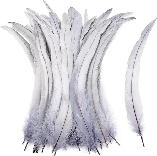 Miniatura 22 de iHUFeather Plumas de cola de gallo naturales, 50 plumas de cola de gallo de 10 a 12 pulgadas de largo, a granel para manualidades, disfraces