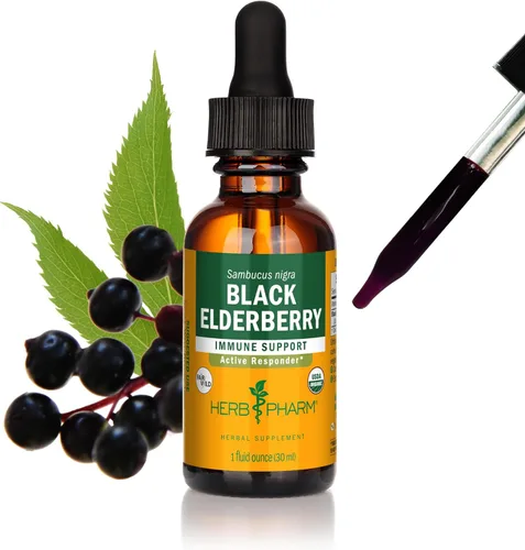 Herb Pharm Gotas de extracto líquido de saúco negro orgánico certificado para apoyo del sistema inmunológico, alcohol de caña orgánico, 1 onza