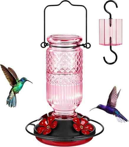 Miniatura 15 de FEED GARDEN Comedero de vidrio para colibríes para colgar al aire libre, comedero de colibríes de 16 onzas con 4 puertos de alimentación con Azul