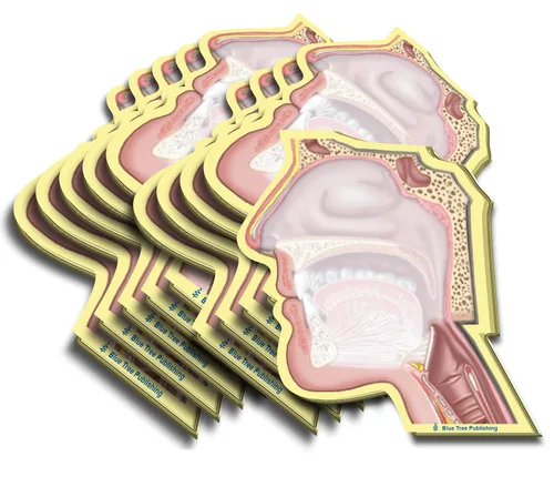 Miniatura 4 de Notas Adhesivas de Anatomía