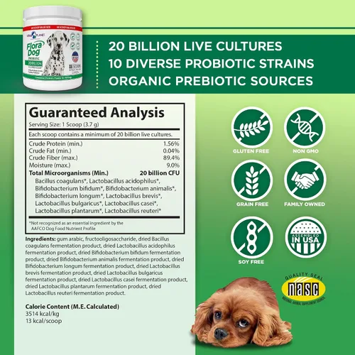 Miniatura 2 de Vital Planet - Suplemento probiótico en polvo para perros Flora con 20 mil millones de cultivos y 10 cepas, probióticos de apoyo inmunológico