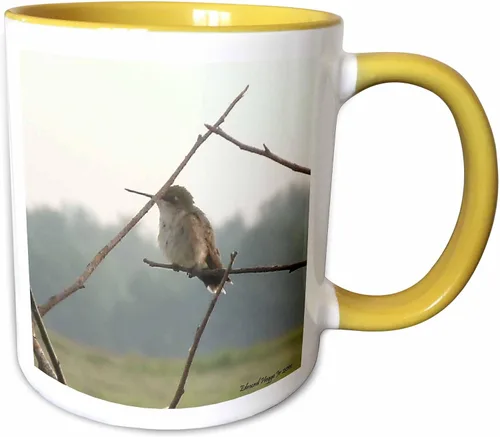 Miniatura 12 de 3dRose Female Hummingbird 11oz Two-Tone Black Mug