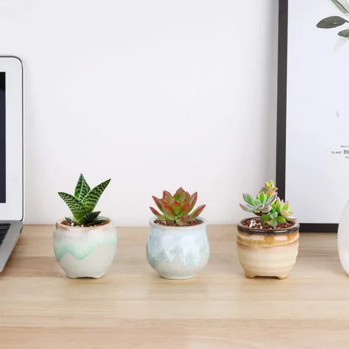 Miniatura 5 de T4U Juego de 6 macetas pequeñas de cerámica para suculentas con drenaje, mini para plantas, maceta de porcelana pequeña, macetas de plantas de aire