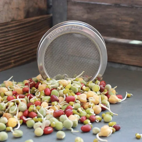 Miniatura 6 de Kit de germinación de acero inoxidable, paquete de 2, a prueba de óxido, malla curvada 316, se adapta a la mayoría de los frascos Mason de boca