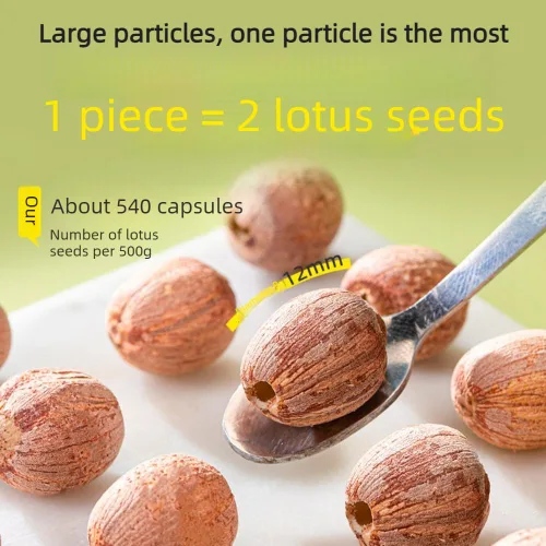 Miniatura 3 de Semillas de loto rojo, peladas y con núcleo, Hong Lian Zi secas totalmente naturales, sin amargor, nuez de loto comestible de alta calidad, veganas