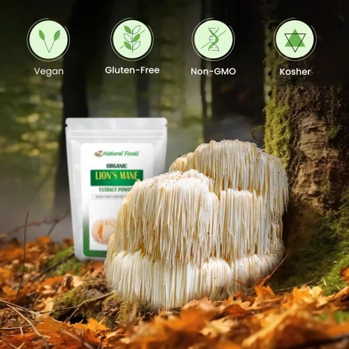 Miniatura 3 de Z Natural Foods Polvo orgánico de extracto de hongo de melena de león – Superalimento de hongos premium – Perfecto para café, té y batidos – Sin