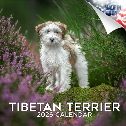 Miniatura 214 de Calendario 2025 2026 de cachorros Cocker Spaniel - Calendario mensual de pared de raza de perro - 12" x 24" abierto - Papel grueso sin sangrado