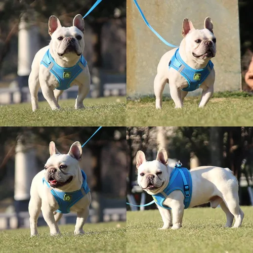 Miniatura 7 de Juego de arnés y correa para perros pequeños, arnés reflectante ajustable sin tirones, arnés transpirable suave para cachorros y perros pequeños