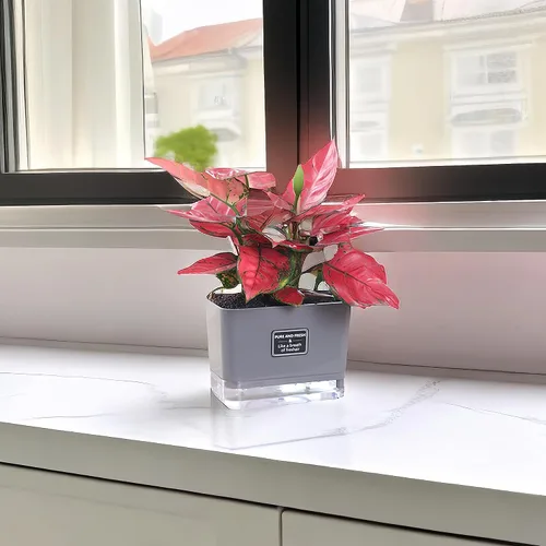 Miniatura 5 de FAMZ Macetas de autorriego para plantas de exterior, paquete de 4, adecuadas para plantas y flores de jardín de interior y exterior, caja de maceta