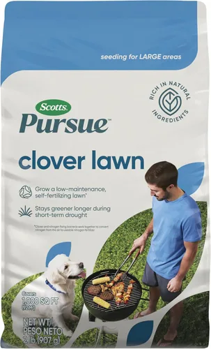 Scotts Persigue el césped de trébol, rico en ingredientes naturales, 2 libras.