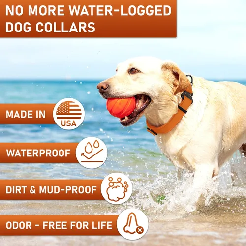 Miniatura 3 de Biothane - Collar de perro con hebilla de cobra, fabricado en Estados Unidos, etiqueta de identificación con código QR, collares de perro ajustables