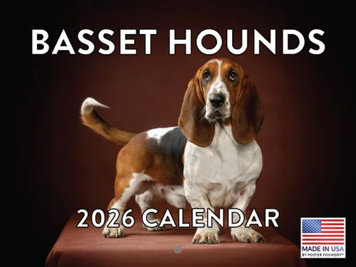 Miniatura 9 de Calendario de pared mensual 2025 Great Dane de 12 meses, fabricado en Estados Unidos