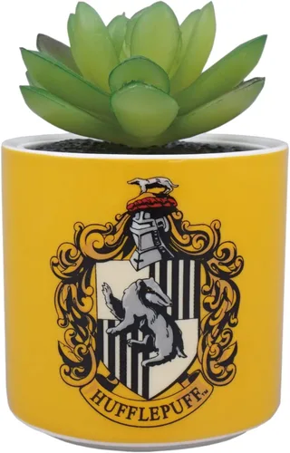 Miniatura 7 de Harry Potter Maceta de interior Half Moon Bay Maceta de cerámica para interiores y regalos Ravenclaw