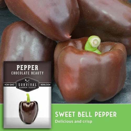 Miniatura 4 de Survival Garden Seeds - Semilla de pimienta Chocolate Beauty para plantar - Paquete con instrucciones para plantar y cultivar hermosos pimientos