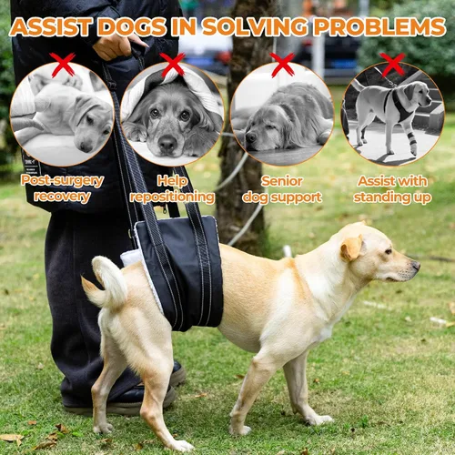 Miniatura 4 de Arnés de elevación para perro, ajustable y cómodo arnés para perro con asa para rodilla de perro grande para desgarro de ACL, patas traseras