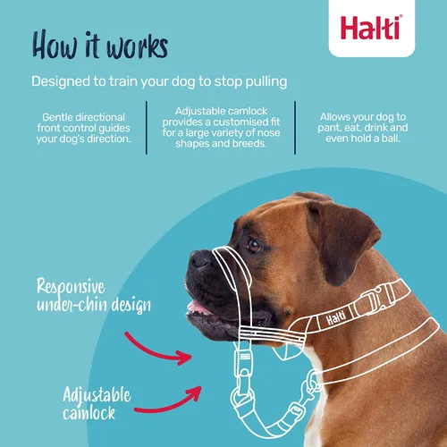 Miniatura 2 de Collar para perros con ajuste a la cabeza Halti Opti, mediano