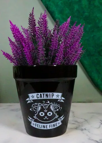 Miniatura 5 de Ebros Gift Wicca Brujería Gótica Magia Maceta de Cerámica Negra, Contenedor Floral Alquímico Oculto, Jardinera para Alquimista, Florero, Pulgar