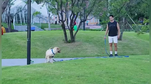Miniatura 4 de AMAGOOD Correa larga para perro para entrenamiento de perros de 15, 20, 30, 50 y 100 pies de largo, para entrenamiento de perros medianos y Azul