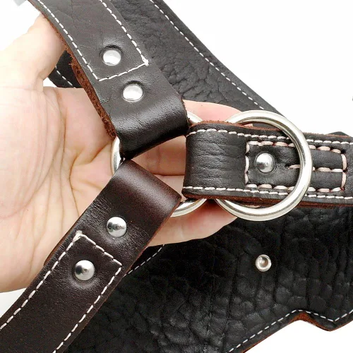 Miniatura 2 de PET ARTIST Arnés de cuero duradero para perros medianos, diseño cómodo ajustable con hebillas de metal fuertes y asa para caminar diariamente