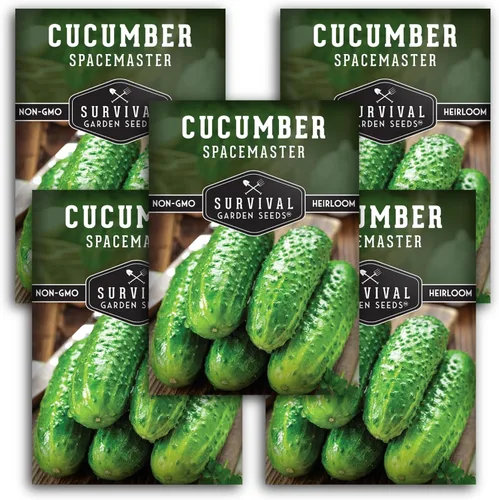 Semillas de pepino Spacemaster para plantar | Variedad compacta autóctona sin OMG para jardines de espacios pequeños – Semillas de jardín de