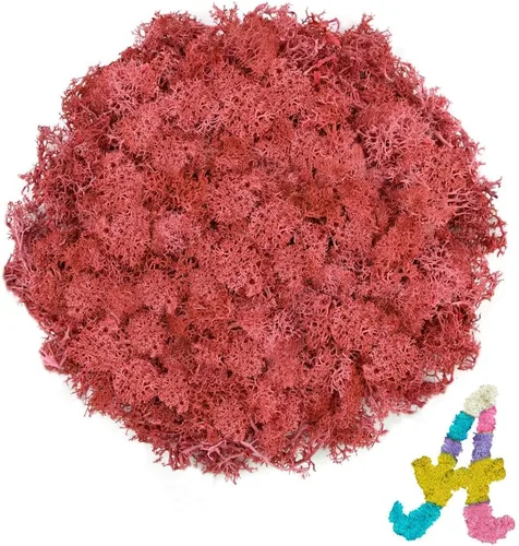 Miniatura 34 de Musgo de reno amarillo preservado de 3.5 onzas para plantas en maceta, decoración artesanal para arte de pared, musgo falso para decoración