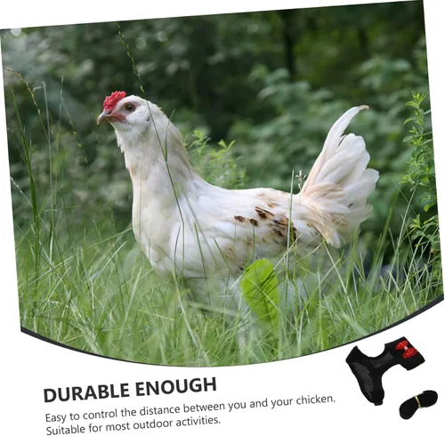 Miniatura 6 de Juego de arnés y correa de pollo para mascotas con cuerda de tracción ajustable, arnés de gallo duradero para paseos al aire libre y animales