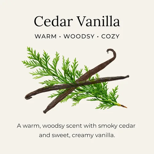 Miniatura 4 de Little Seed Farm - Crema de desodorante natural - Cedro y vainilla - Desodorante libre de aluminio para mujeres u hombres, Peso neto 2.4oz 68g
