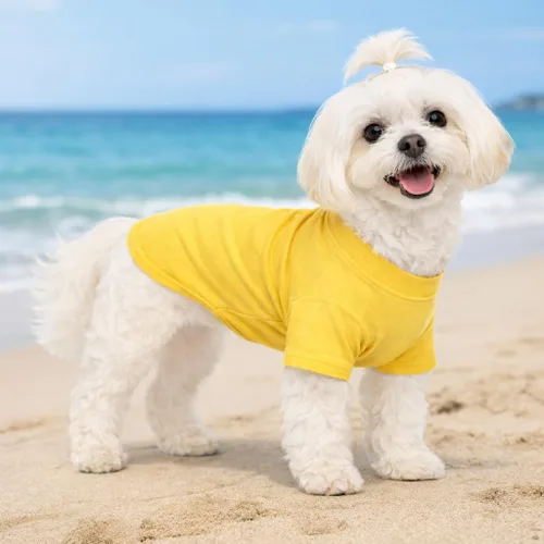 Miniatura 9 de Lovelonglong Ropa para Mascotas Disfraces para Perros Camiseta Básica Lisa Camisetas para Perros Pequeños Amarillo L
