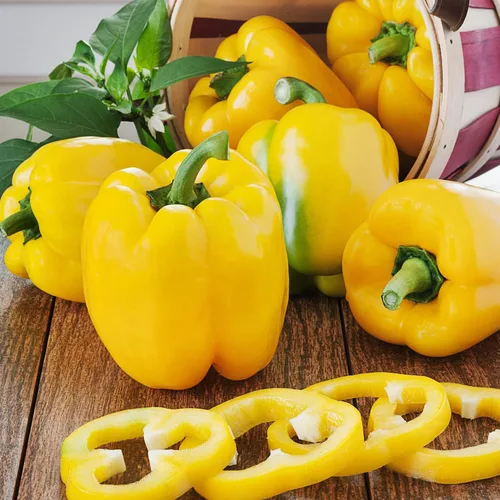 Miniatura 2 de Bonnie Plants Plantas vegetales vivos de pimiento amarillo, paquete de 4, sin transgénicos, 2 plantas de 3 pies, 4.5 x 4 pulgadas, tamaño de pimienta