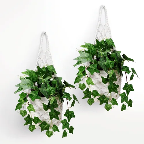 Paquete de 2 Maceteros de Pared para Plantas de Interior, Colgador de Plantas de Macramé | Macetero de Pared, Colgador de Plantas, Macetero Colgante