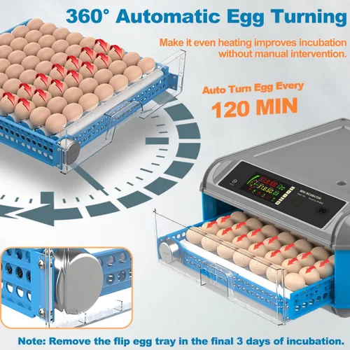 Miniatura 3 de Incubadora de huevos mejorada para incubar huevos, incubadora de huevos de pollo con giro automático de huevos, control de humedad, sistema