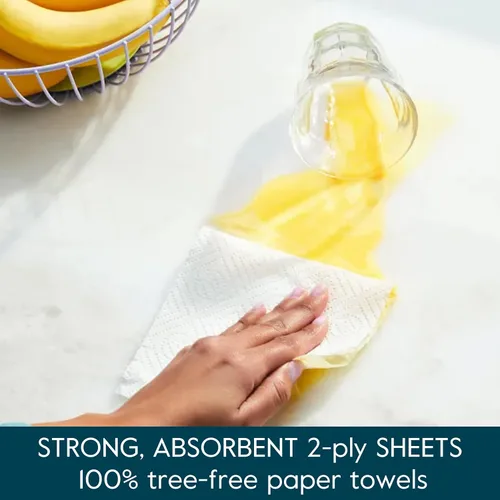 Miniatura 4 de Grove Co. Toallas de papel de bambú, sin árboles y toallas de papel de cocina sostenibles, fuertes y absorbentes, con hojas seleccionadas