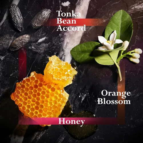 Miniatura 2 de JOOP! Homme - Desodorante en aerosol para hombre, con notas de canela, jazmín, vainilla y sándalo, 2.5 onzas líquidas