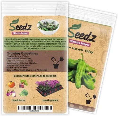 Miniatura 3 de Semillas de pimiento Shishito orgánicas (aprox. 55), tasa de germinación del 94%, semillas de vegetales tradicionales, orgánicas certificadas, sin