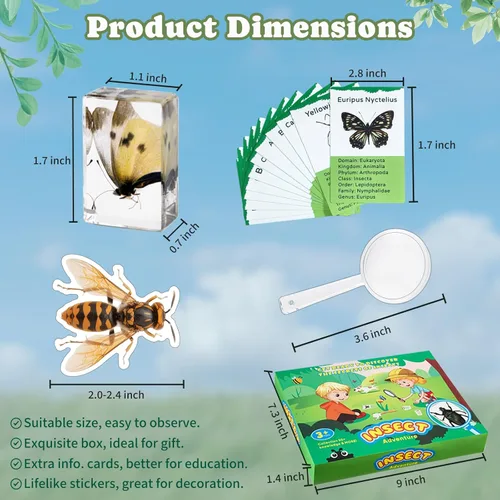 Miniatura 3 de Specimen de Insecto en Resina, Colección Educativa Científica de 12 Piezas, Exhibición para Aula de Ciencias en Preescolar, Specimens Reales