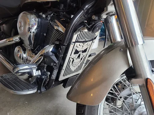 Cubierta de radiador de calavera para motocicleta, protector de rejilla de parrilla compatible con Kawasaki VN900 Vulcan 900 Classic LT Custom