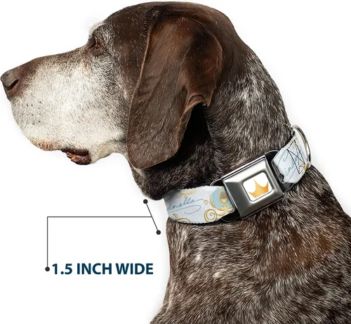 Miniatura 7 de Collar de perro con hebilla de cinturón de seguridad Cenicienta Calabaza Entrenador y ratones Pose con Script Blues 9.5 a 13 pulgadas 1.0 pulgadas