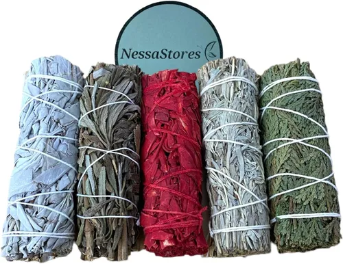 Miniatura 4 de NessaStores Muestreador de 3 piezas de Ruda Rue, salvia de sangre de dragón y Palo Santo, 4 pulgadas, totalmente natural, de origen ético