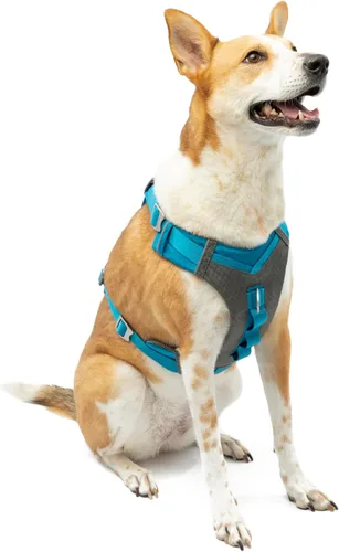 Miniatura 18 de Arnés para perro Kurgo Journey Air - Ajuste seguro para perros activos - Pecho acolchado - Tela Ripstop ligera - Malla transpirable - Borde Rojo
